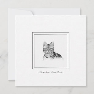 Tarjeta de nota plana americana de dibujos de gato