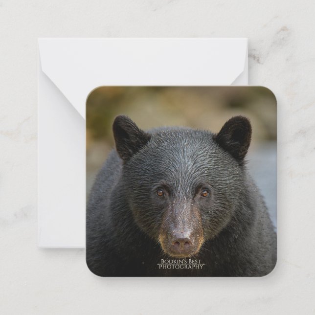 Tarjeta de nota plana de 6,4 cm x 6,4 cm (Anverso)