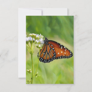 Tarjeta de nota plana de arte de mariposa de reina