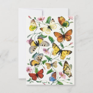 Tarjeta de nota plana de arte de mariposa ilustrad