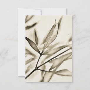 Tarjeta de nota plana de color Olive Tree que deja