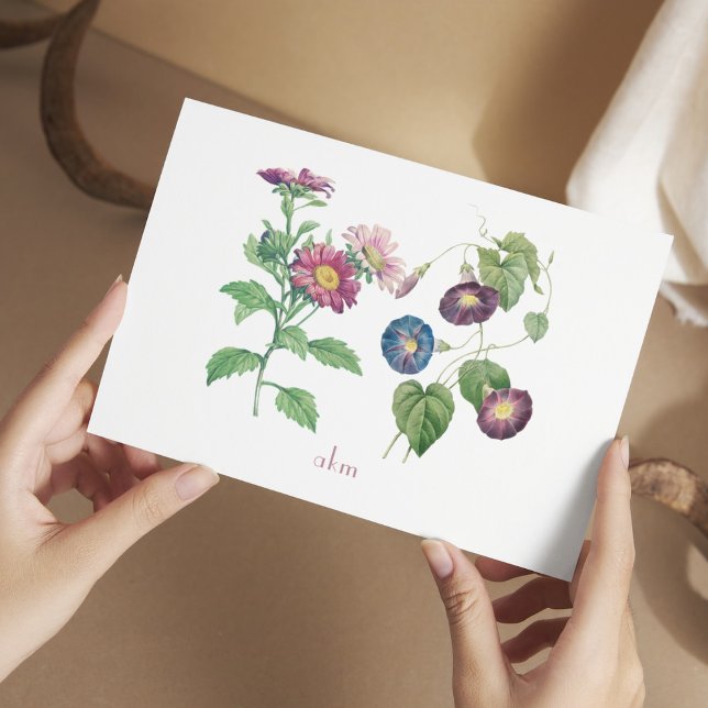 Tarjeta de nota plana de flor en el mes de nacimie (September Birthday Gift - Flat Note Card with the month's flowers, Aster and Morning Glory)