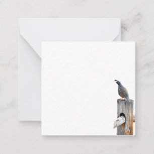 Tarjeta de nota plana de fotos de caracol de valle