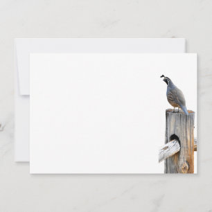 Tarjeta de nota plana de fotos de caracol de valle