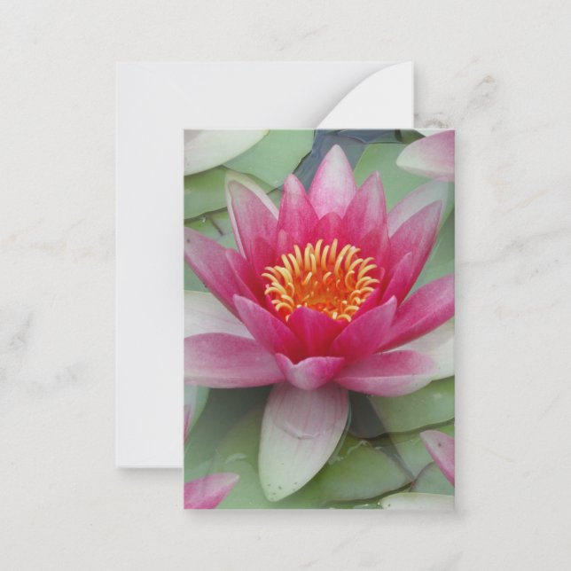 Tarjeta de nota plana de Lily Lotus Water Lily (Anverso)