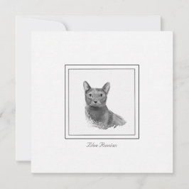 Tarjeta de nota plana panorámica moderna para gato