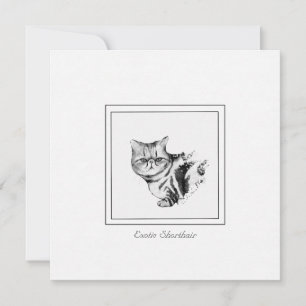 Tarjeta de nota plana para gatos de Shorthair exót