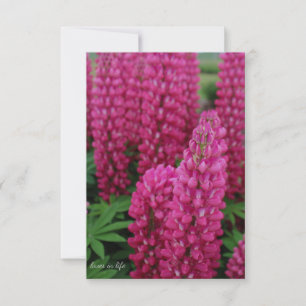 Tarjeta de nota plana rosa Lupine