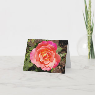 Tarjeta de nota plegada Apricot Rosa Photo