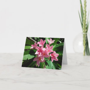 Tarjeta de nota plegada con foto de Plumeria rosa