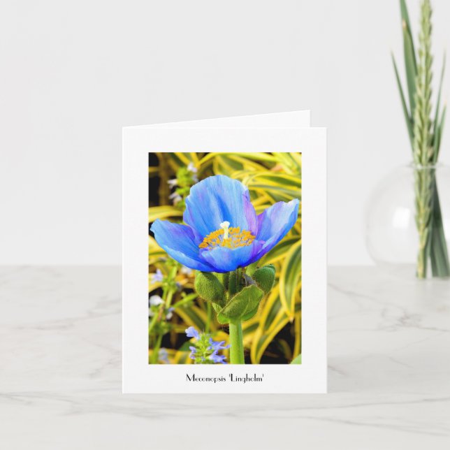 Tarjeta de nota plegada de disquete azul (Anverso)