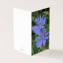 Tarjeta de nota plegada de flor de achicoria