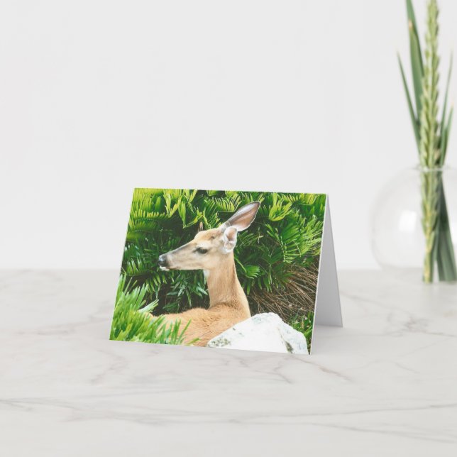 Tarjeta de nota plegada de foto de ciervo (Anverso)