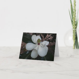 Tarjeta de nota plegada de foto de flor de Magnoli