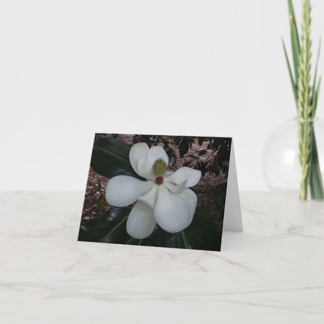 Tarjeta de nota plegada de foto de flor de Magnoli (Anverso)