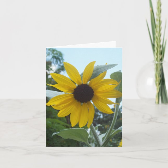 Tarjeta de nota plegada de foto de girasol mexican (Anverso)