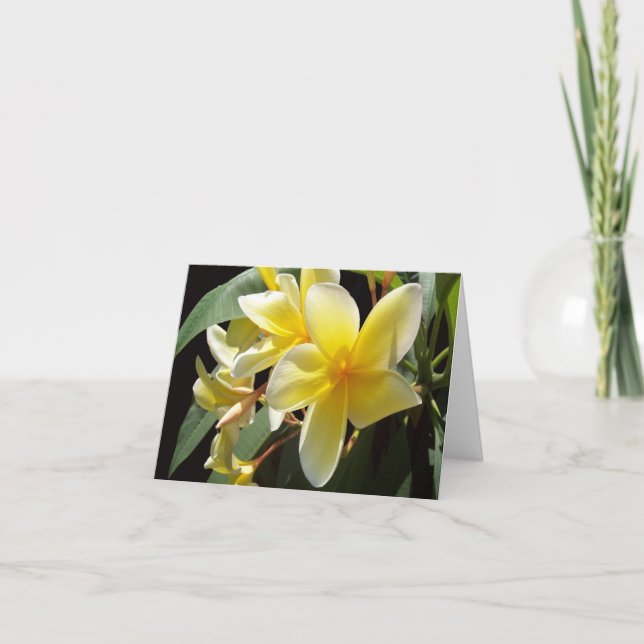 Tarjeta de nota plegada de foto de Plumeria amaril (Anverso)