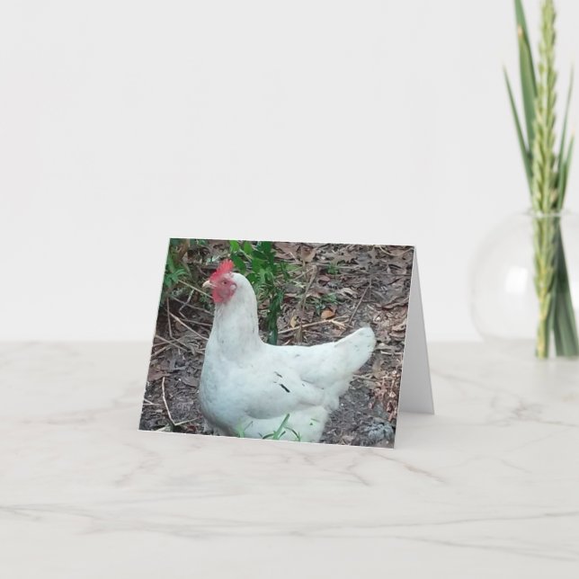 Tarjeta de nota plegada de foto de pollo blanco (Anverso)
