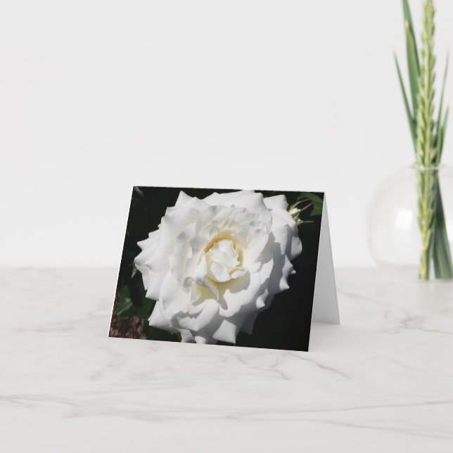 Tarjeta de nota plegada de foto de rosa blanca (Anverso)