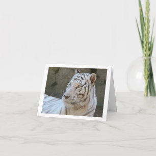 Tarjeta de nota plegada de foto del tigre blanco