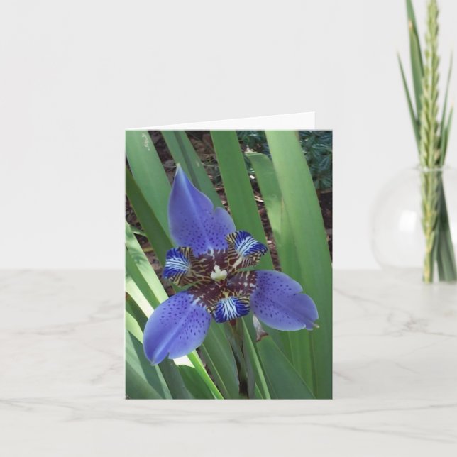 Tarjeta de nota plegada de foto iris púrpura (Anverso)