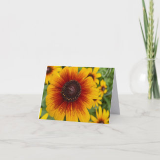 Tarjeta de nota plegada de fotografía artística fi