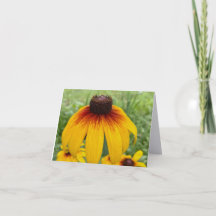 Tarjeta de nota plegada de fotografía artística fi