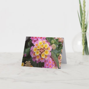 Tarjeta de nota plegada de fotografía de arte fina