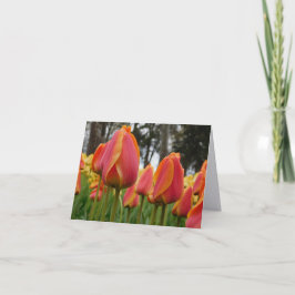 Tarjeta de nota plegada de fotografía de arte fino