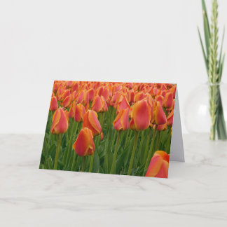 Tarjeta de nota plegada de fotografía de arte fino