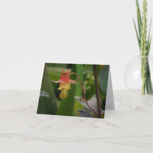 Tarjeta de nota plegada de fotografía de arte fino