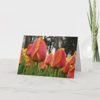Tarjeta de nota plegada de fotografía de arte fino