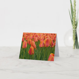 Tarjeta de nota plegada de fotografía de arte fino