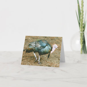 Tarjeta de nota plegada de fotos de Turquía