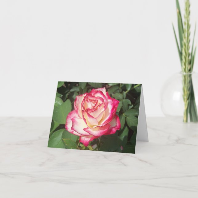 Tarjeta de nota plegada de fotos rosa y rosa blanc (Anverso)