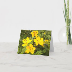 Tarjeta de nota plegada de la foto de las flores d