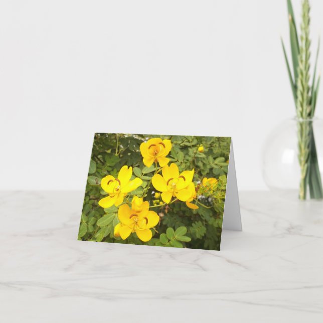 Tarjeta de nota plegada de la foto de las flores d (Anverso)