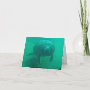 Tarjeta de nota plegada de la foto de Manatee