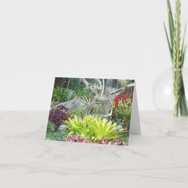 Tarjeta de nota plegada de la foto del jardín árid (Anverso)