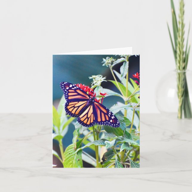 Tarjeta de nota plegada de mariposa monarca (Anverso)