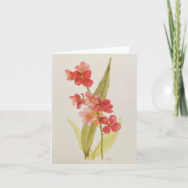 Tarjeta de nota plegada de orquídeas rojas