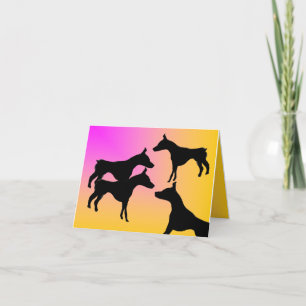 Tarjeta de nota plegada : Doberman