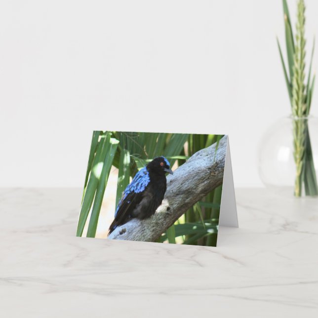 Tarjeta de nota plegada Fairy Bluebird Photo (Anverso)