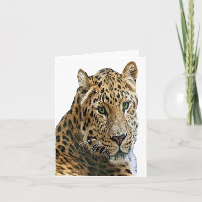 Tarjeta de nota plegada Leopard Photo (Anverso)