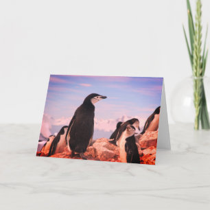 Tarjeta de nota plegada PENGUIN