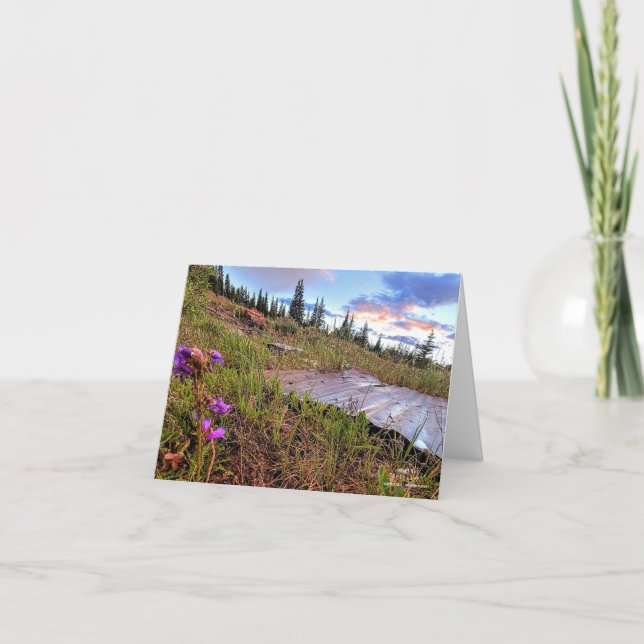 Tarjeta de nota plegada pequeña, de 4" x 5,6" (Anverso)