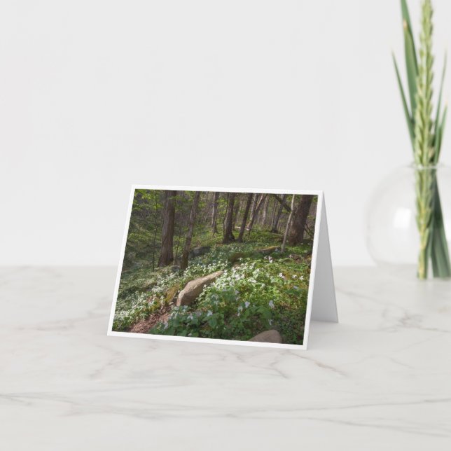 Tarjeta de nota plegada pequeña, de 4" x 5,6" (Anverso)