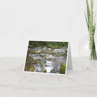 Tarjeta de nota plegada pequeña, de 4" x 5,6"