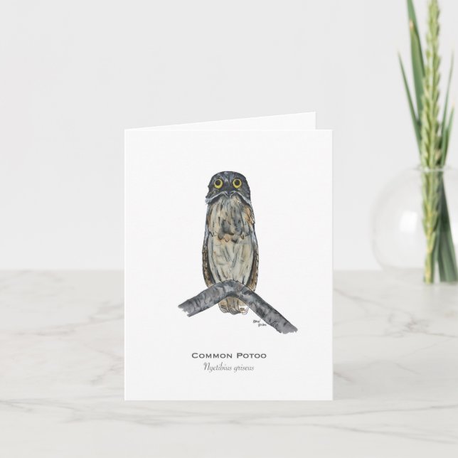 Tarjeta de nota plegada Potoo Bird (Anverso)