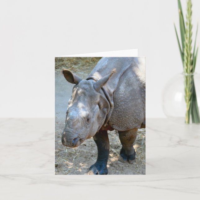 Tarjeta de nota plegada Rhinoceros Photo (Anverso)
